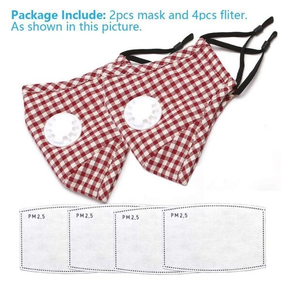 JIANG GeGE 2PCS PM2.5 Red Plaid Dust Mask for Adult + 4 Activated Carbon Filters - Picture 3 of 5